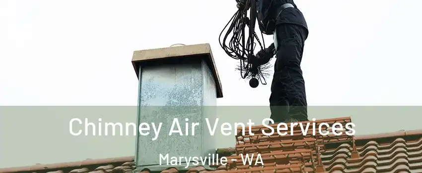  Chimney Air Vent Services Marysville - WA