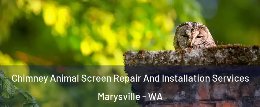  Chimney Animal Screen Repair And Installation Services Marysville - WA