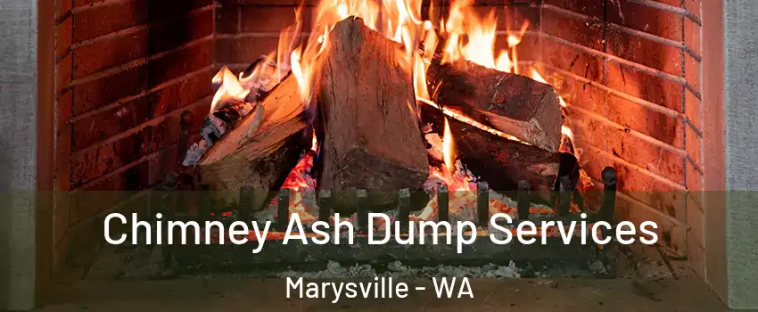  Chimney Ash Dump Services Marysville - WA