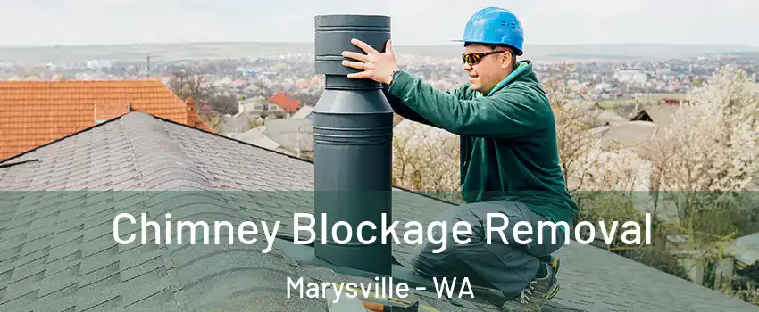  Chimney Blockage Removal Marysville - WA