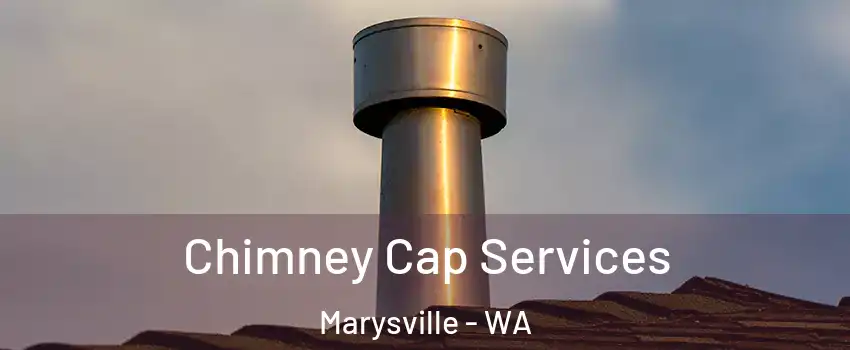  Chimney Cap Services Marysville - WA