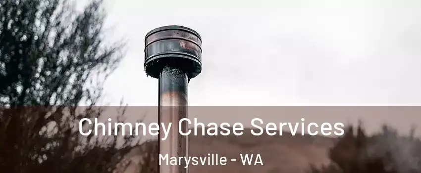  Chimney Chase Services Marysville - WA