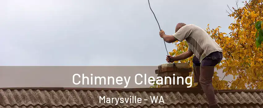  Chimney Cleaning Marysville - WA