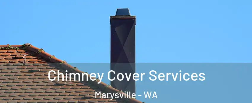  Chimney Cover Services Marysville - WA
