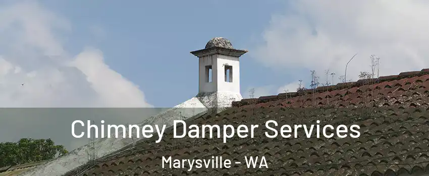  Chimney Damper Services Marysville - WA