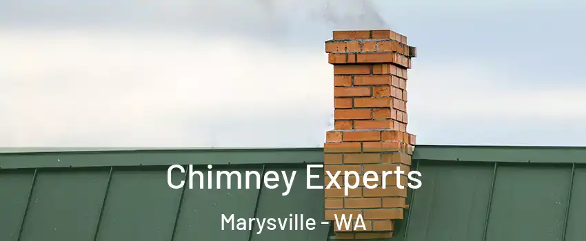 Chimney Experts Marysville - WA