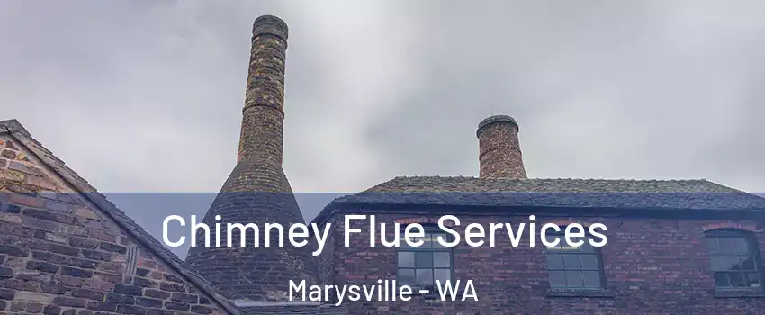  Chimney Flue Services Marysville - WA