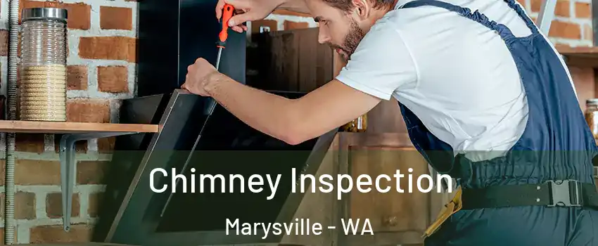  Chimney Inspection Marysville - WA