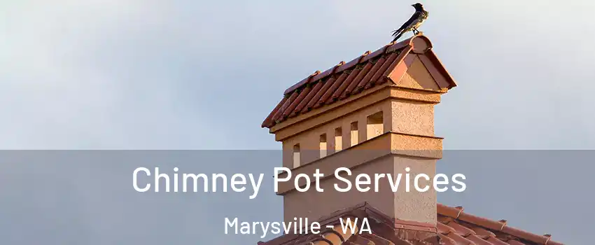  Chimney Pot Services Marysville - WA