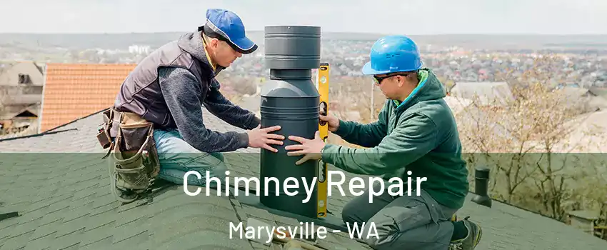  Chimney Repair Marysville - WA