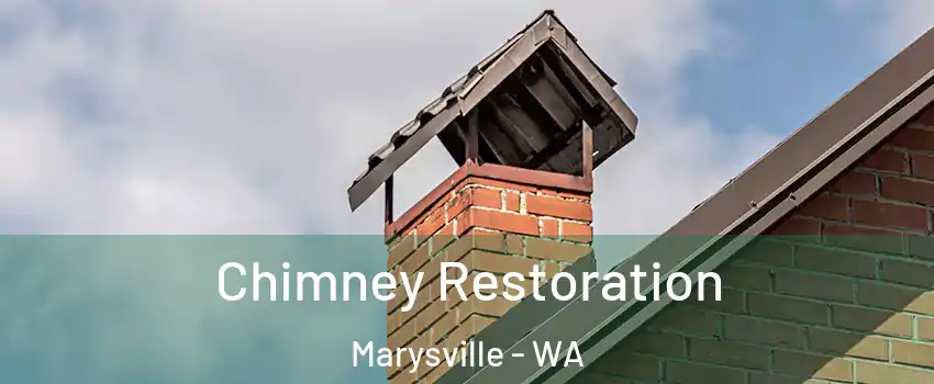  Chimney Restoration Marysville - WA