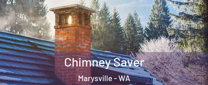  Chimney Saver Marysville - WA