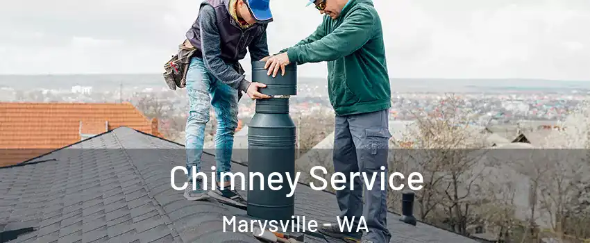  Chimney Service Marysville - WA