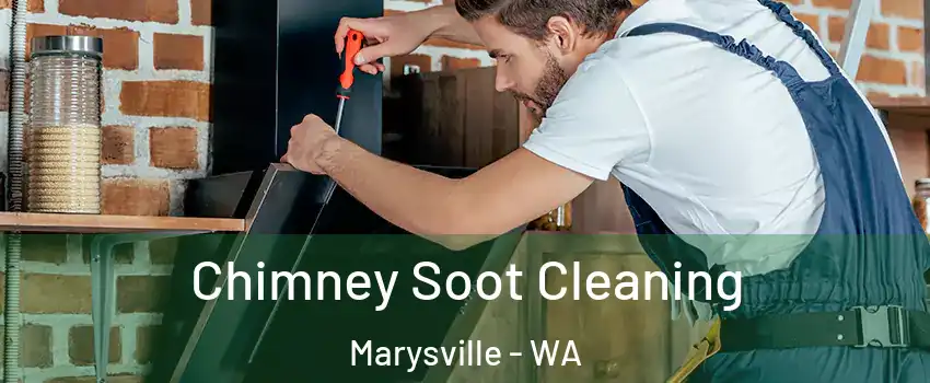  Chimney Soot Cleaning Marysville - WA