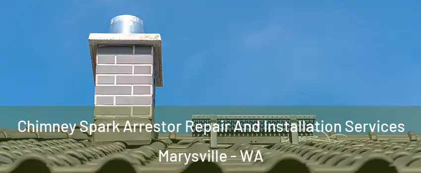  Chimney Spark Arrestor Repair And Installation Services Marysville - WA