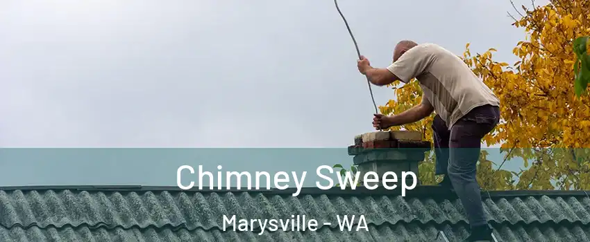  Chimney Sweep Marysville - WA