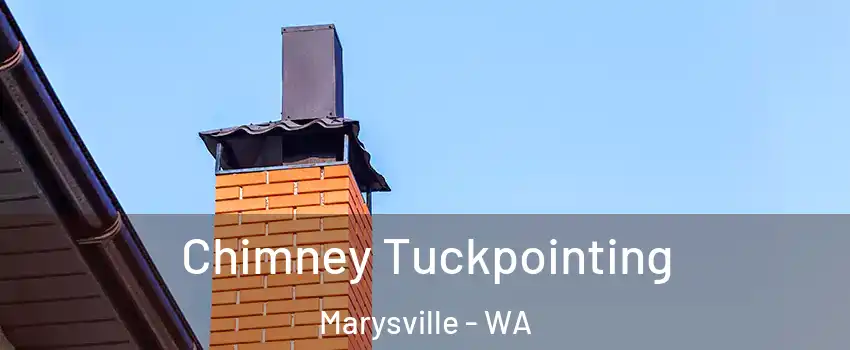  Chimney Tuckpointing Marysville - WA