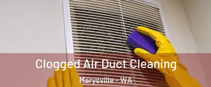  Clogged Air Duct Cleaning Marysville - WA
