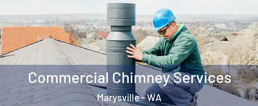  Commercial Chimney Services Marysville - WA