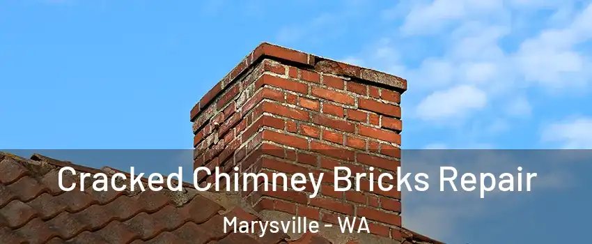  Cracked Chimney Bricks Repair Marysville - WA