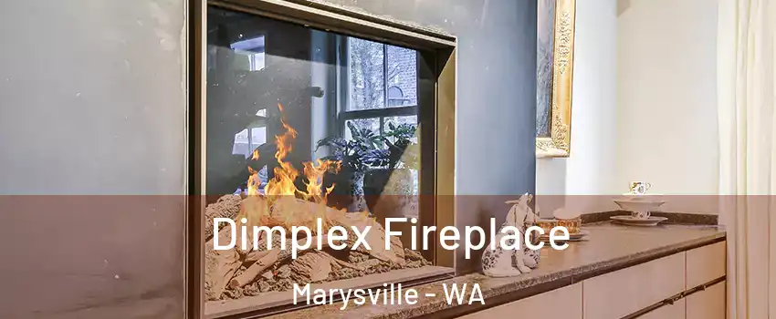  Dimplex Fireplace Marysville - WA