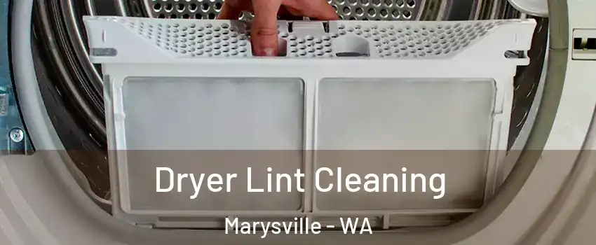  Dryer Lint Cleaning Marysville - WA