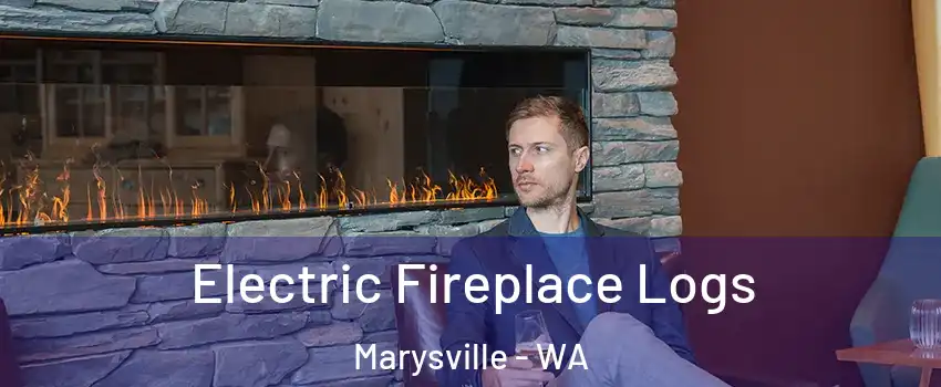  Electric Fireplace Logs Marysville - WA