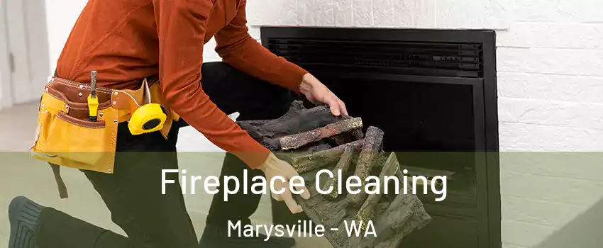  Fireplace Cleaning Marysville - WA