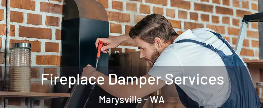  Fireplace Damper Services Marysville - WA
