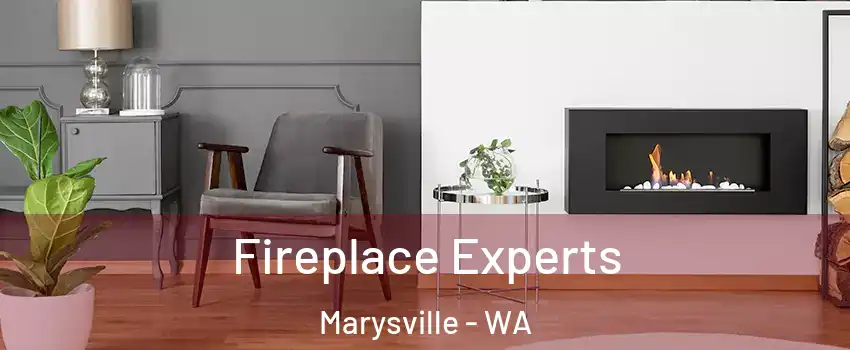  Fireplace Experts Marysville - WA