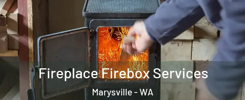  Fireplace Firebox Services Marysville - WA