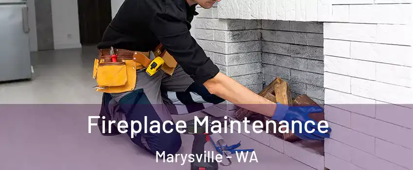  Fireplace Maintenance Marysville - WA