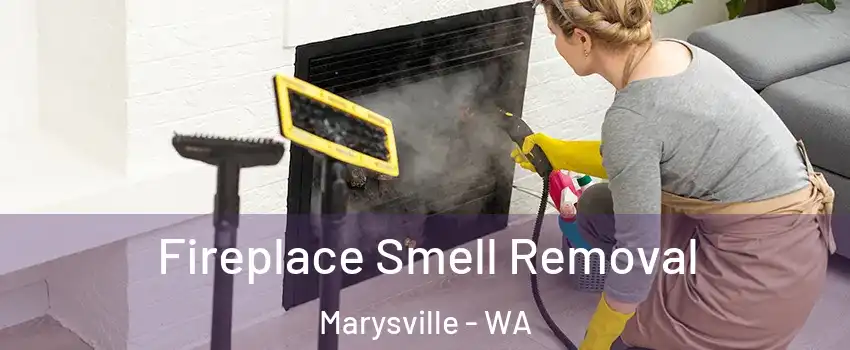  Fireplace Smell Removal Marysville - WA