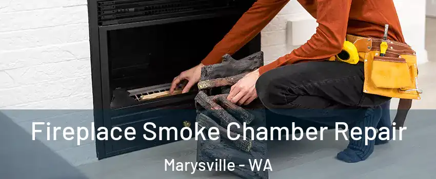  Fireplace Smoke Chamber Repair Marysville - WA