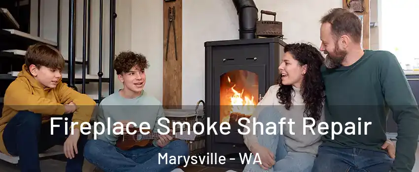  Fireplace Smoke Shaft Repair Marysville - WA
