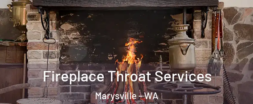  Fireplace Throat Services Marysville - WA