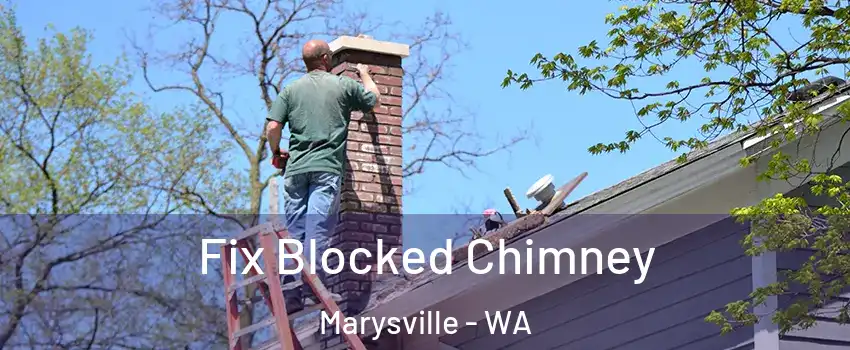  Fix Blocked Chimney Marysville - WA