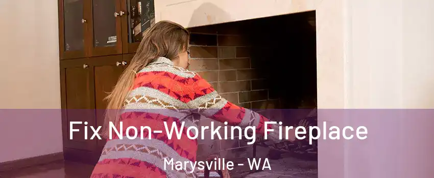  Fix Non-Working Fireplace Marysville - WA