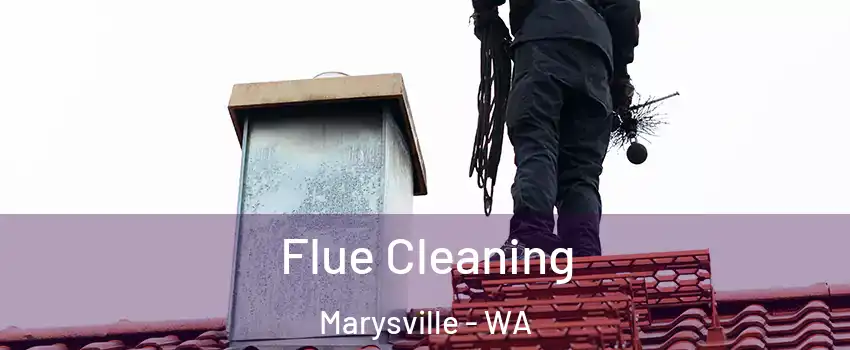  Flue Cleaning Marysville - WA