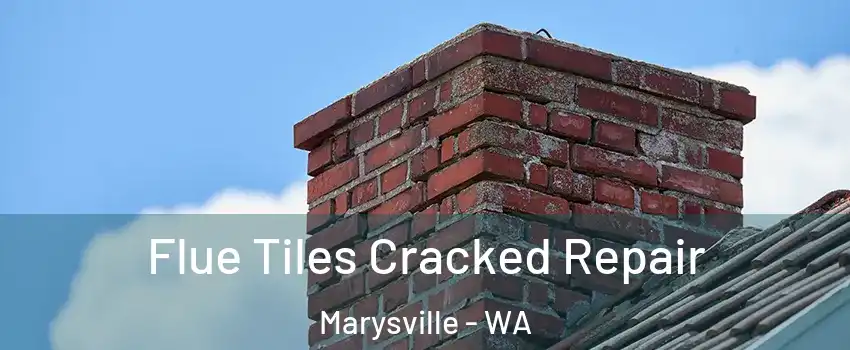  Flue Tiles Cracked Repair Marysville - WA