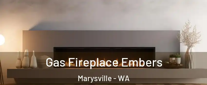  Gas Fireplace Embers Marysville - WA