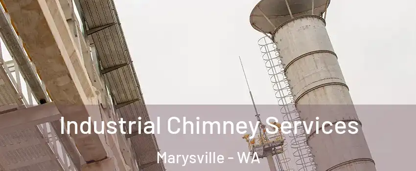  Industrial Chimney Services Marysville - WA