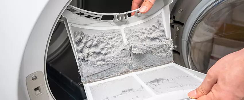 Best Dryer Lint Removal Company in Marysville, Washington