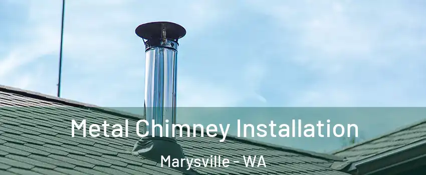  Metal Chimney Installation Marysville - WA