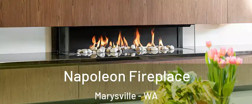  Napoleon Fireplace Marysville - WA