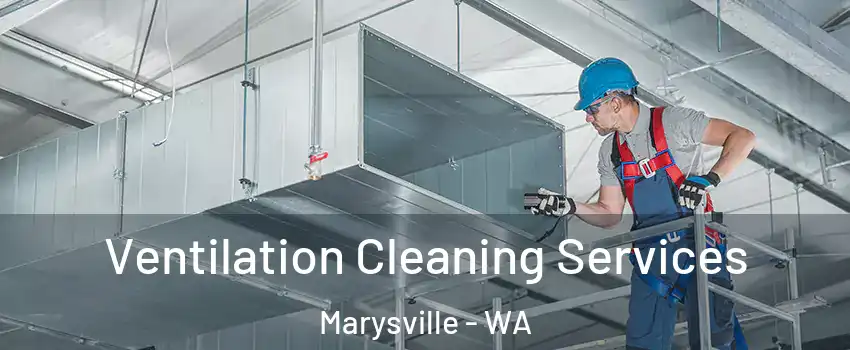  Ventilation Cleaning Services Marysville - WA