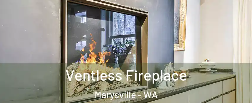  Ventless Fireplace Marysville - WA